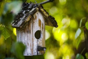 Vogelhäuschen im Hausgarten